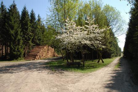 Pension Haus Talblick Winterberg Esterno foto